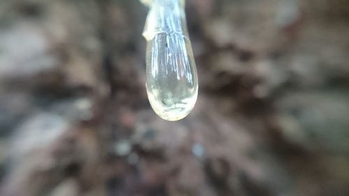 Close-up of bubbles