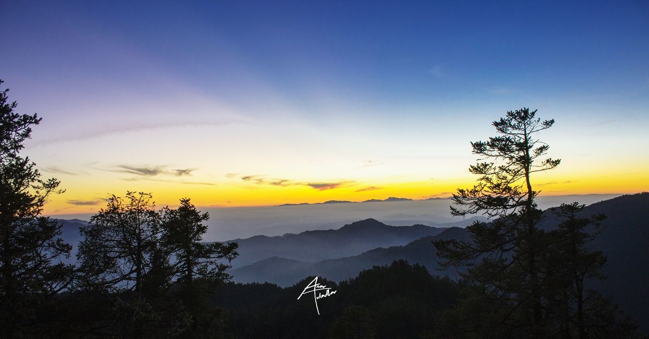 sunset, tree, sky, nature, beauty in nature, scenics, mountain, no people, outdoors, flying, day