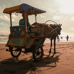 Horse cart on the beach