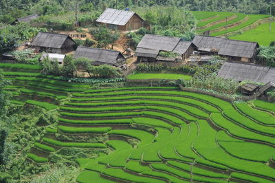 High angle shot of houses on landscape