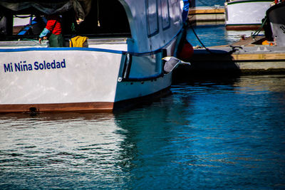 Boats moored in sea