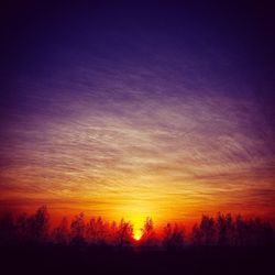 Silhouette of trees at sunset