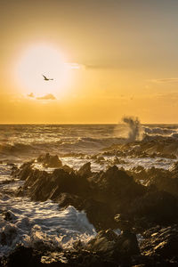 Scenic view of sea against sky during sunset