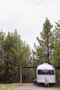 Camper van by trees against clear sky at grand teton national park