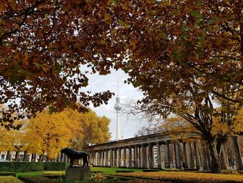 Trees in park against sky during autumn