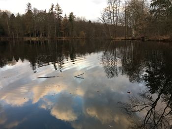 View of birds swimming in lake