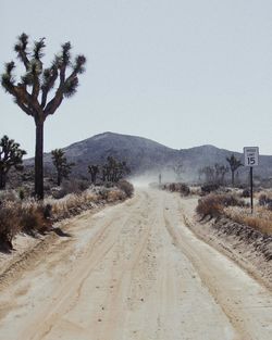 Dirt road passing through a desert