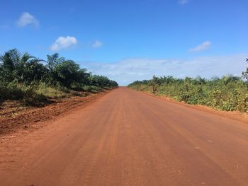 Dirt road to oil palm plantations. merauke regency, papua province.