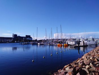 Sailboats moored in harbor against clear blue sky