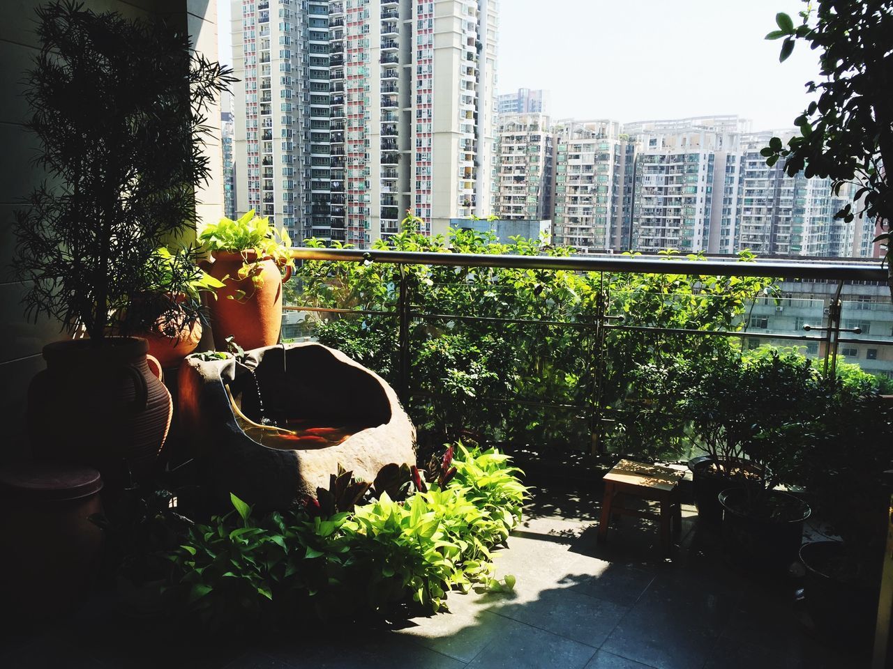 building exterior, architecture, built structure, growth, potted plant, tree, city, plant, window, chair, glass - material, modern, table, day, skyscraper, leaf, balcony, office building, outdoors, reflection