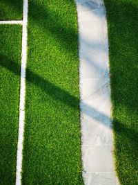 High angle view of grassland