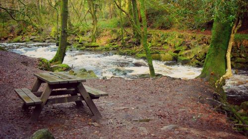 View of stream along trees