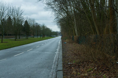 Road amidst bare trees against sky