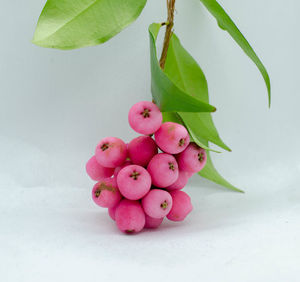 Close-up of pink fruits on table