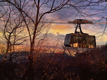 Bare trees against buildings at sunset