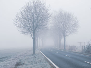 Bare trees by road against sky during winter