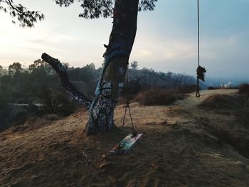 View of swing at playground