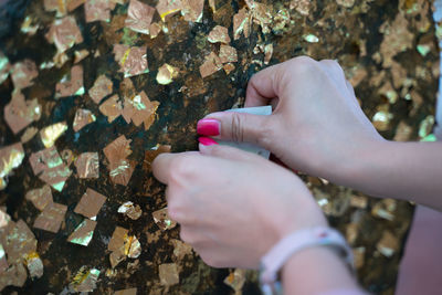 High angle view of person touching hand holding leaves