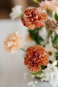 Close-up of red roses