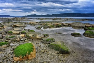 Scenic view of rocks on beach against sky