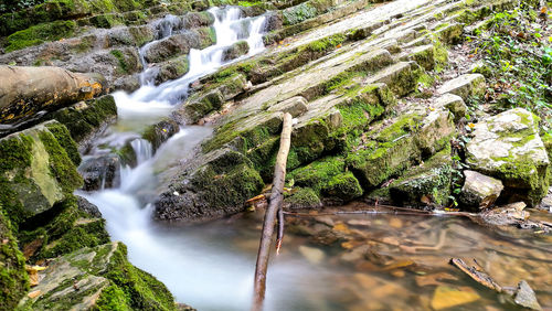 Scenic view of waterfall in forest