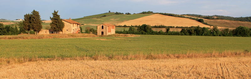 Scenic view of farm against sky