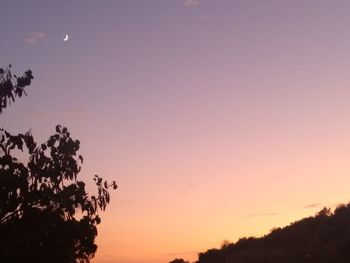 Low angle view of silhouette trees against sky during sunset