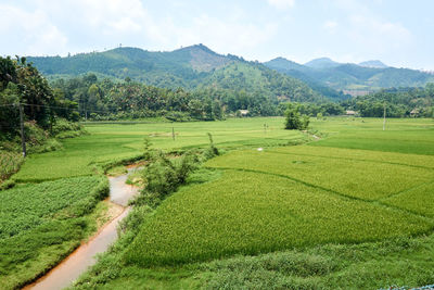 Scenic view of field against sky