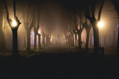 Illuminated lights with bare trees amidst street at night