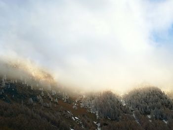 Scenic view of landscape against sky during winter