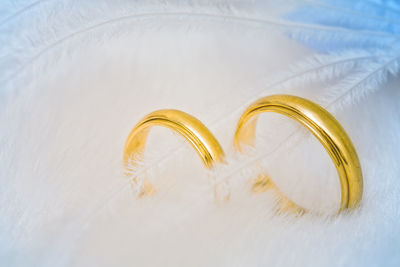 High angle view of wedding rings on fur