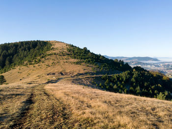 Scenic view of field against clear blue sky