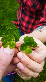 Cropped hands of people holding leaves on field