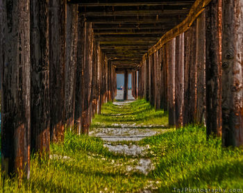 Footpath passing through a building