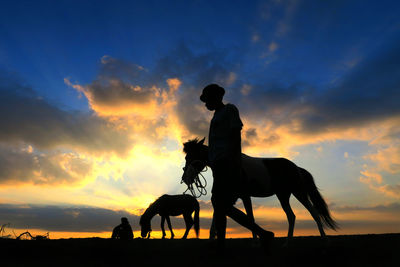 Silhouette of man riding horse