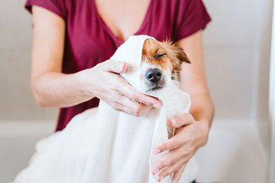 Midsection of woman cleaning dog with towel