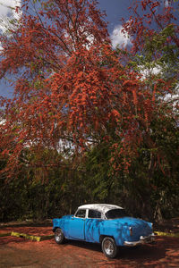 Vintage car on land during autumn