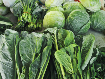 Close-up bunch of fresh organic green vegetables for sale at market stall