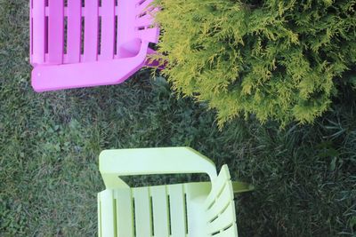 High angle view of plants