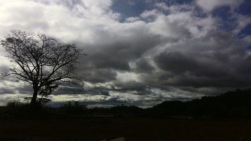 Scenic view of landscape against cloudy sky