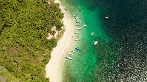 Tropical beach on island with palm trees, blue lagoon and azure clear water. helicopter island 