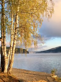 Scenic view of lake against sky during autumn