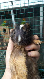 Close-up of hand holding stick at home