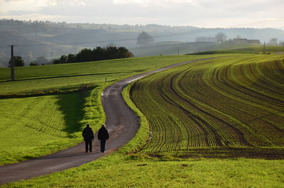 Rear view of people walking on field against sky