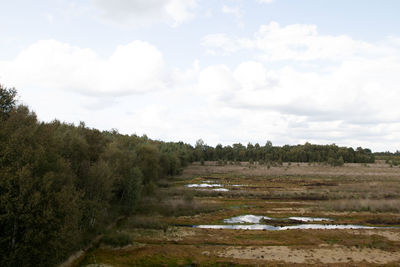 Scenic view of field against sky