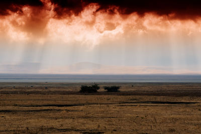 Scenic view of landscape against sky