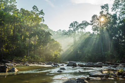 Scenic view of waterfall in forest against sky