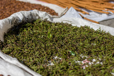 Close-up of food drying outdoors