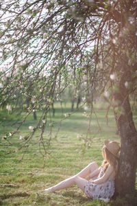 Woman sitting on tree