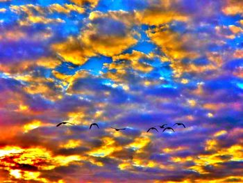 Low angle view of bird flying against cloudy sky